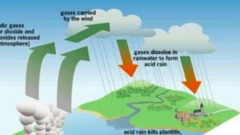 Measures to prevent acid rain